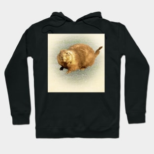 Prairie dog Hoodie